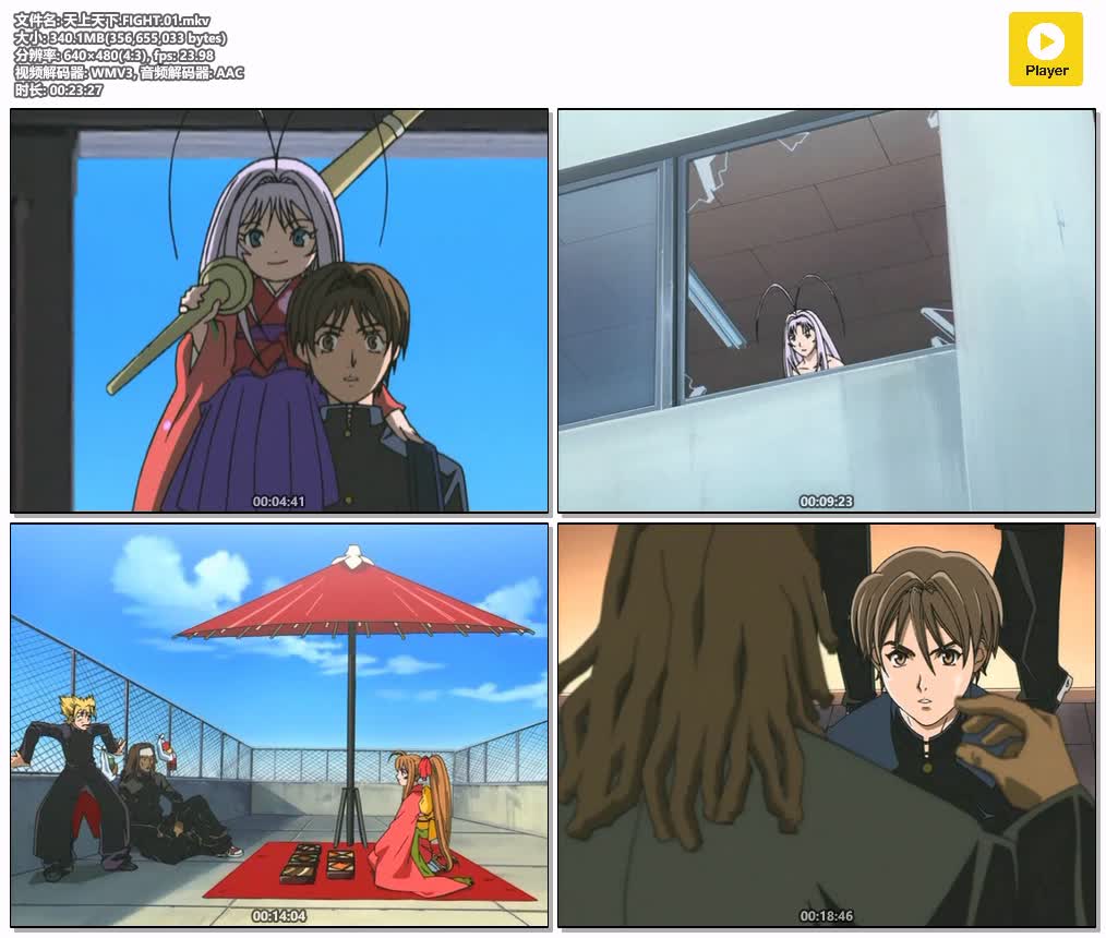 插图:《天上天下》粤日双语版全26集 | 480P高清+中文字幕 | 粤语动画 | 百度网盘/夸克网盘，编号:783