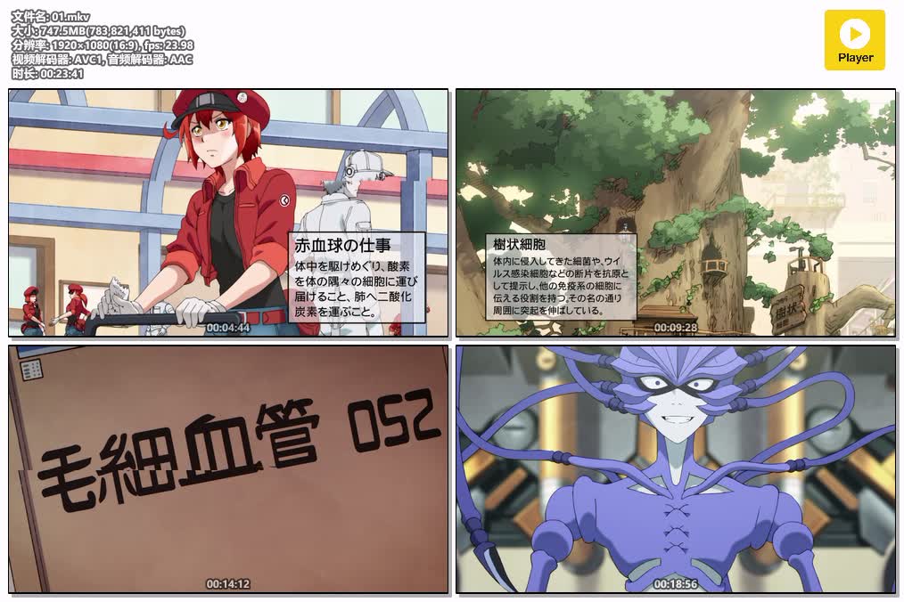 插图:《工作细胞》粤日双语版全14集 | 1080P高清+中文字幕 | 粤语动画 | 百度网盘/夸克网盘，编号:374