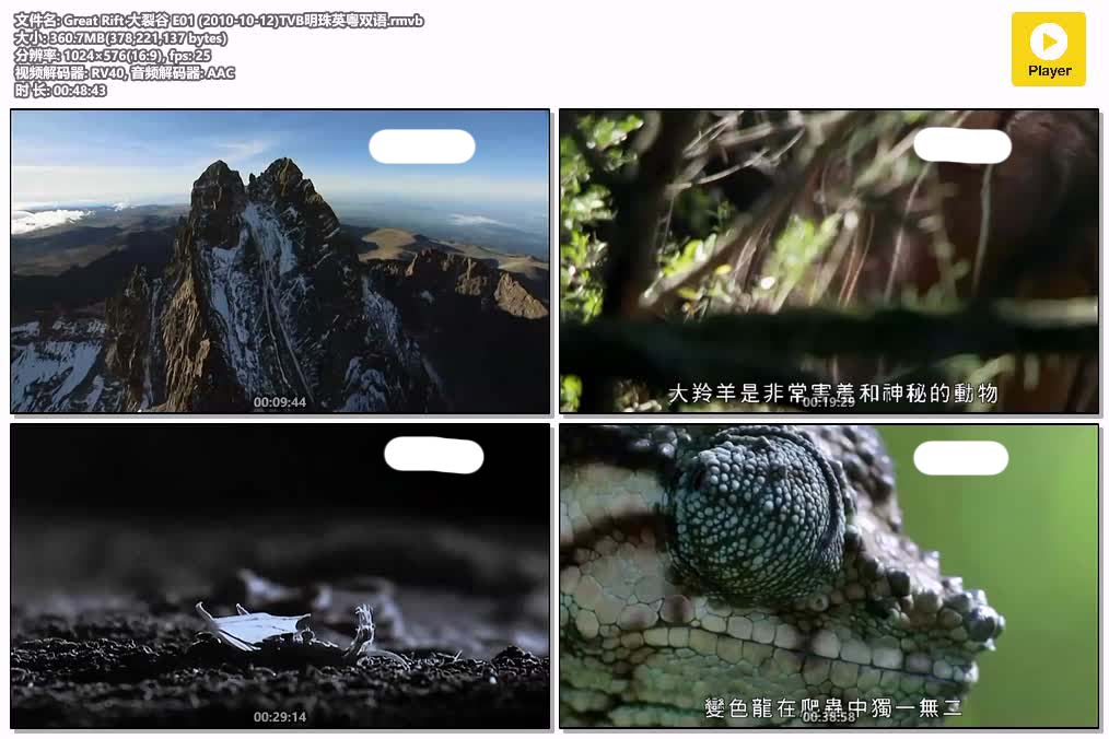 插图:《大裂谷》粤配纪录片全3集 | 全球文明探秘 | 百度网盘/夸克网盘，编号:316