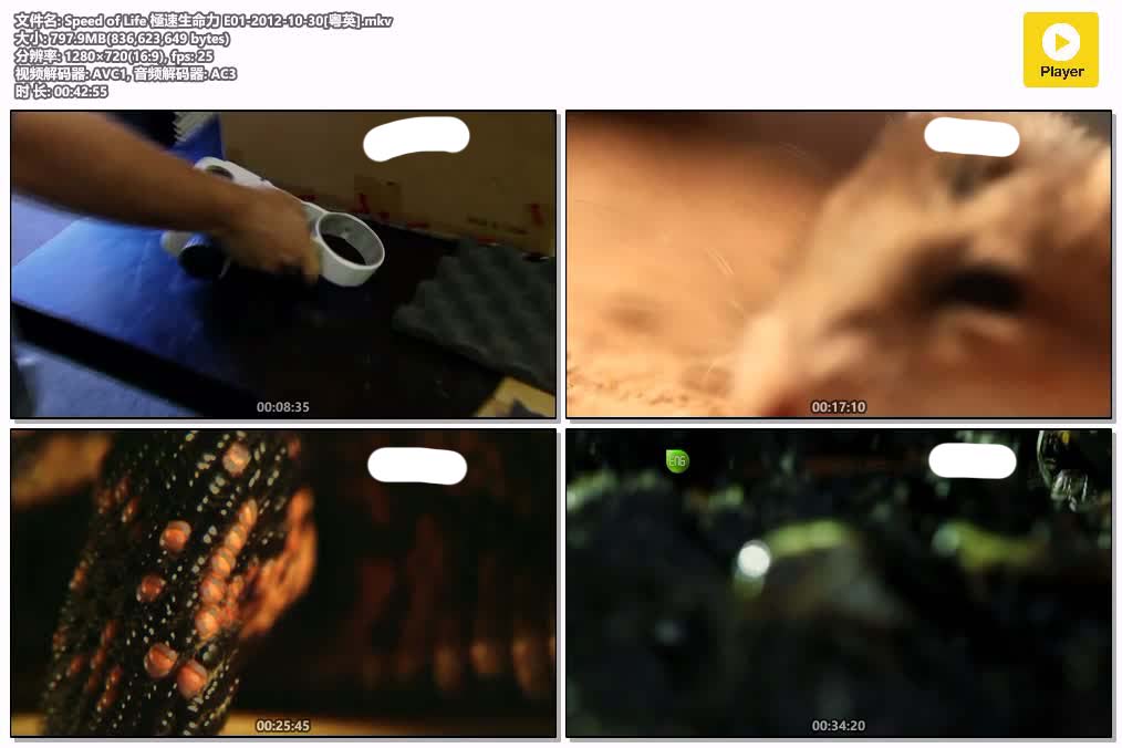 插图:《極速生命力》粤配纪录片全3集 | 全球文明探秘 | 百度网盘/夸克网盘，编号:832