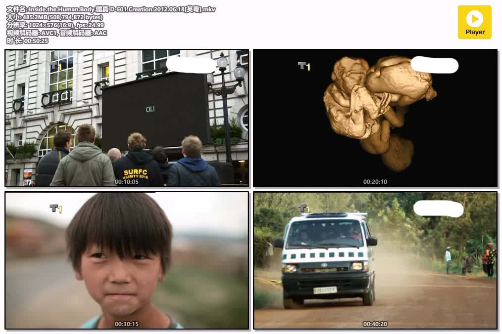 插图:《體真 D》粤配纪录片全4集 | 全球文明探秘 | 百度网盘/夸克网盘，编号:271