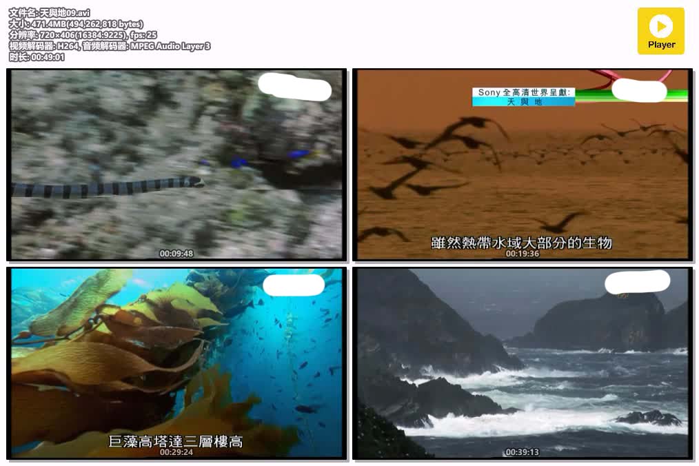 插图:《天與地》粤配纪录片全2集 | 全球文明探秘 | 百度网盘/夸克网盘，编号:247