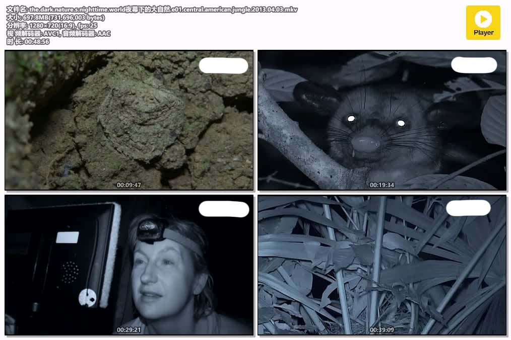 插图:《夜幕下的大自然》粤配纪录片全3集 | 全球文明探秘 | 百度网盘/夸克网盘，编号:100