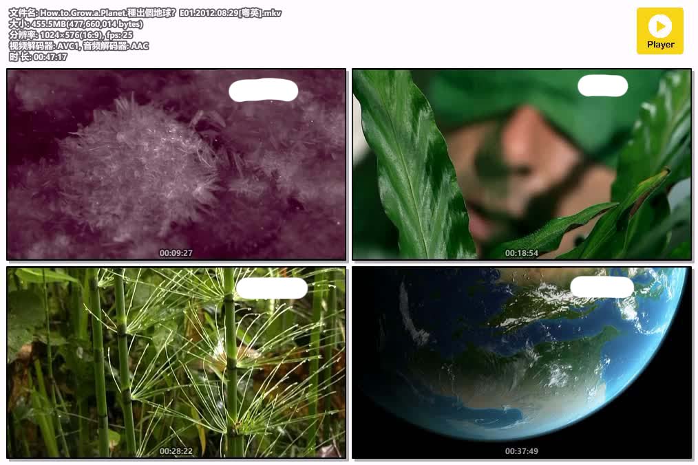 插图:《種出個地球？》粤配纪录片全3集 | 全球文明探秘 | 百度网盘/夸克网盘，编号:99