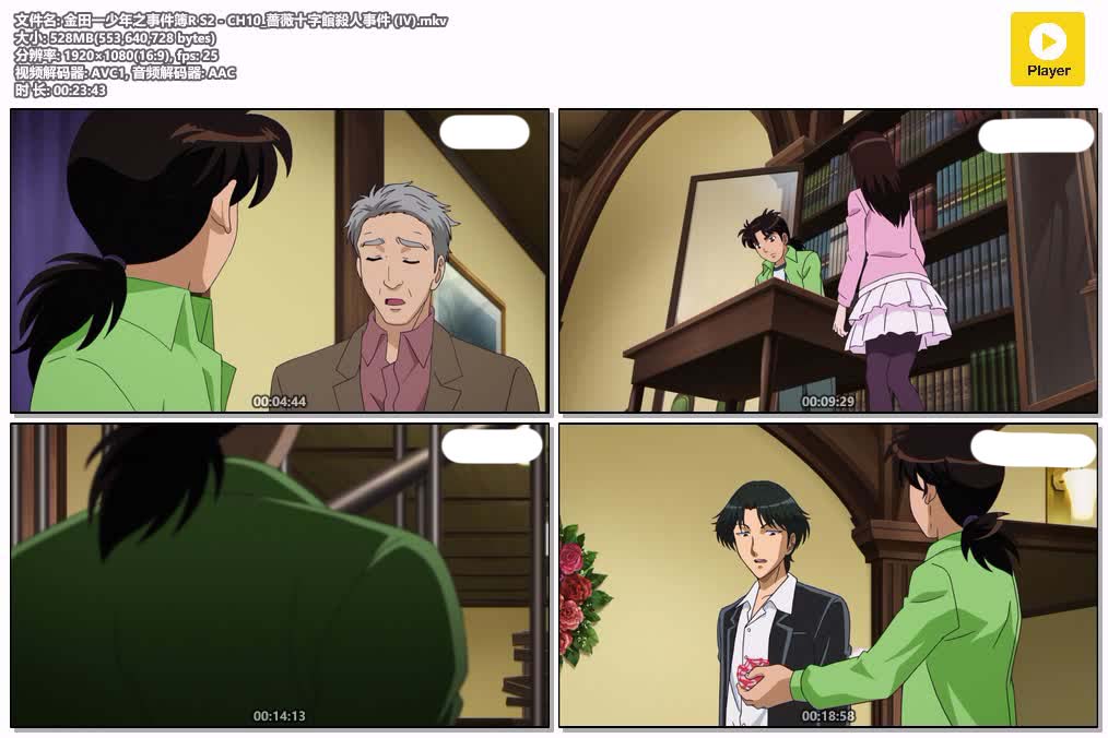 插图:《金田一少年之事件簿R第二季》粤日双语版全22集 | 1080P高清+中文字幕 | 粤语动画 | 百度网盘/夸克网盘，编号:842