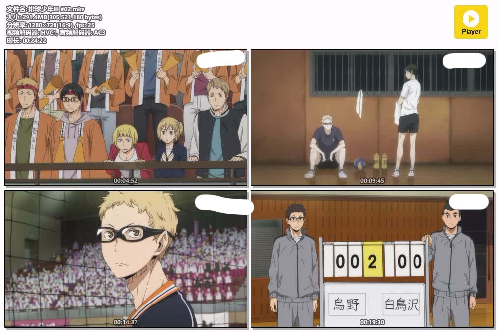 插图:《排球少年III》粤日双语版全10集 | 720P高清+中文字幕 | 粤语动画 | 百度网盘/夸克网盘，编号:744