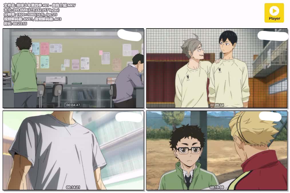 插图:《排球少年IV》粤日双语版全25集 | 1080P高清+中文字幕 | 粤语动画 | 百度网盘/夸克网盘，编号:950