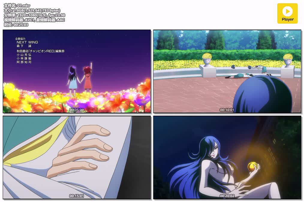插图:《聖鬥少女翔》粤日双语版全10集 | 1080P高清+中文字幕 | 粤语动画 | 百度网盘/夸克网盘，编号:138