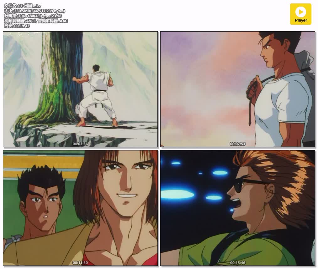 插图:《Street Fighter II V》粤日双语版全29集 | 480P高清+无字幕 | 粤语动画 | 百度网盘/夸克网盘，编号:208
