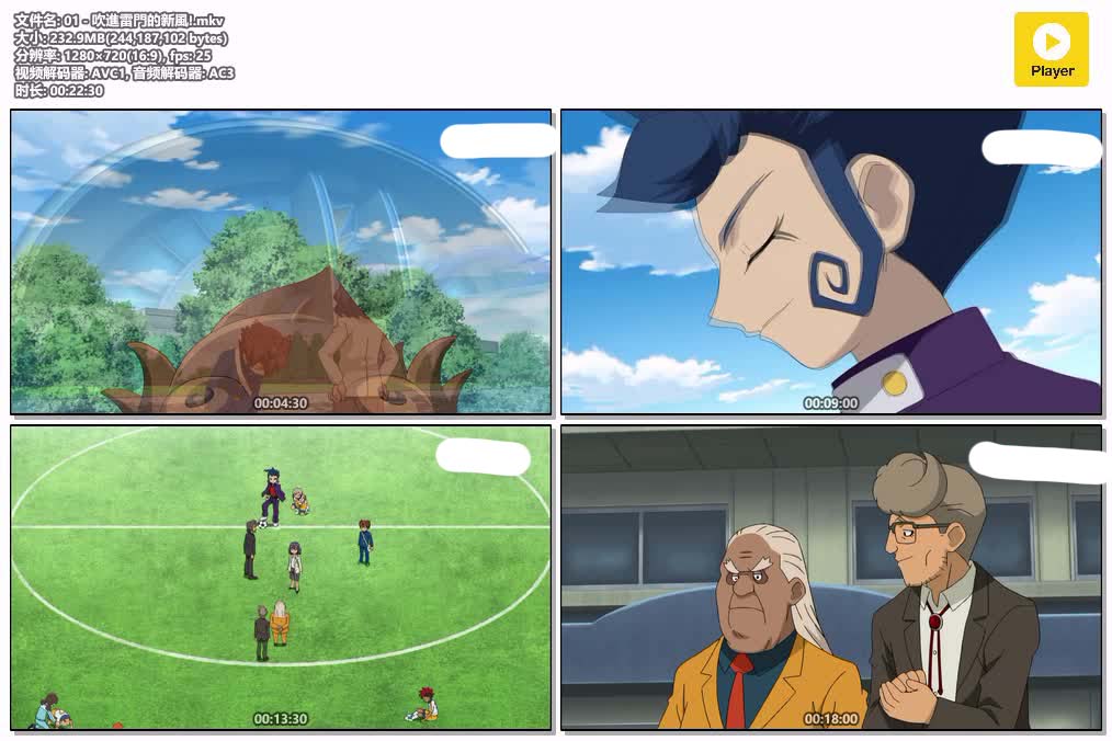 插图:《闪电十一人 GO 第一季》粤日双语版全45集 | 720P高清+中文字幕 | 粤语动画 | 百度网盘/夸克网盘，编号:633