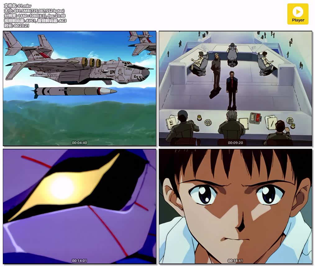 插图:《新世纪福音战士》+剧场版 粤日双语版全26集 | 1080P高清+中文字幕 | 粤语动画 | 百度网盘/夸克网盘，编号:536