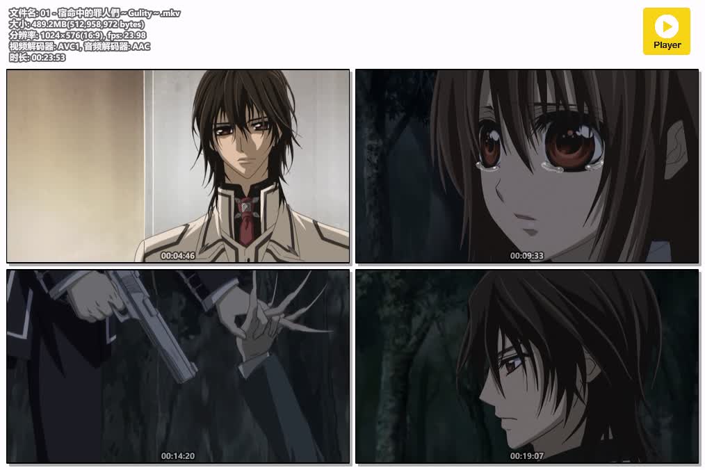 插图:《吸血鬼騎士Guilty》粤日双语版全13集 | 576P高清+中文字幕 | 粤语动画 | 百度网盘/夸克网盘，编号:900