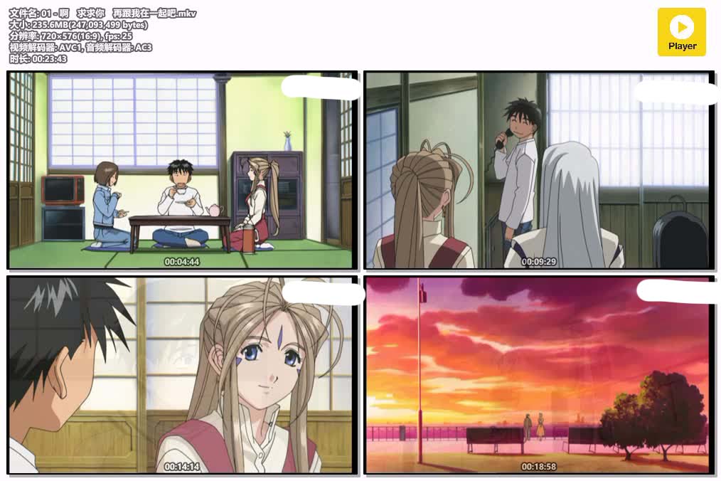 插图:《幸运女神 缤纷之翼》粤日双语版全24集 | 576P高清+中文字幕 | 粤语动画 | 百度网盘/夸克网盘，编号:703