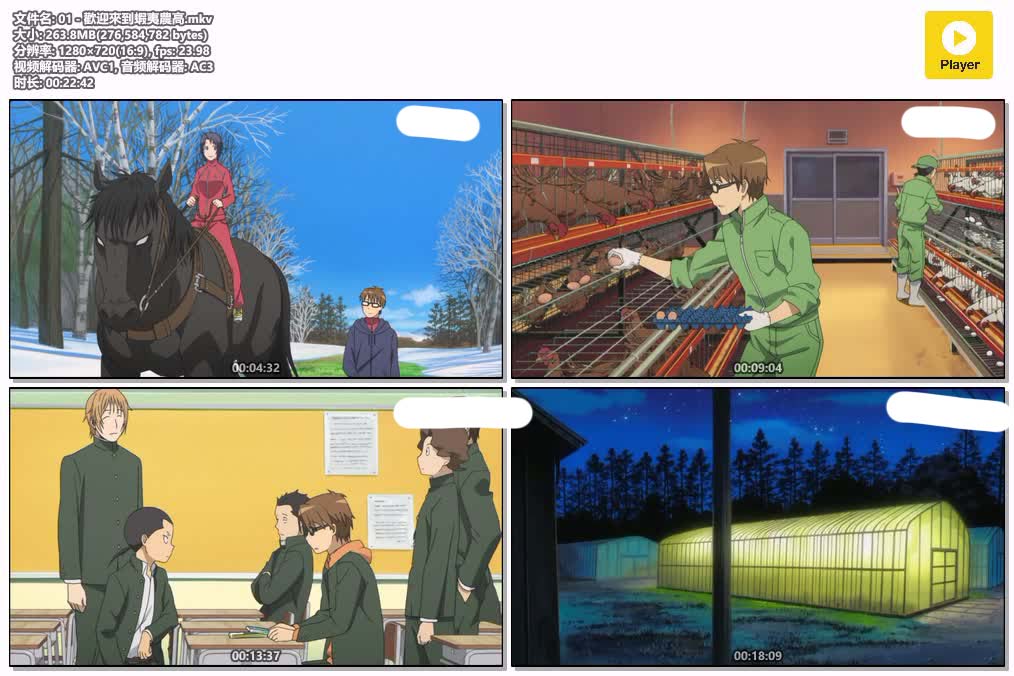 插图:《銀之匙1》粤日双语版全11集 | 720P高清+中文字幕 | 粤语动画 | 百度网盘/夸克网盘，编号:480