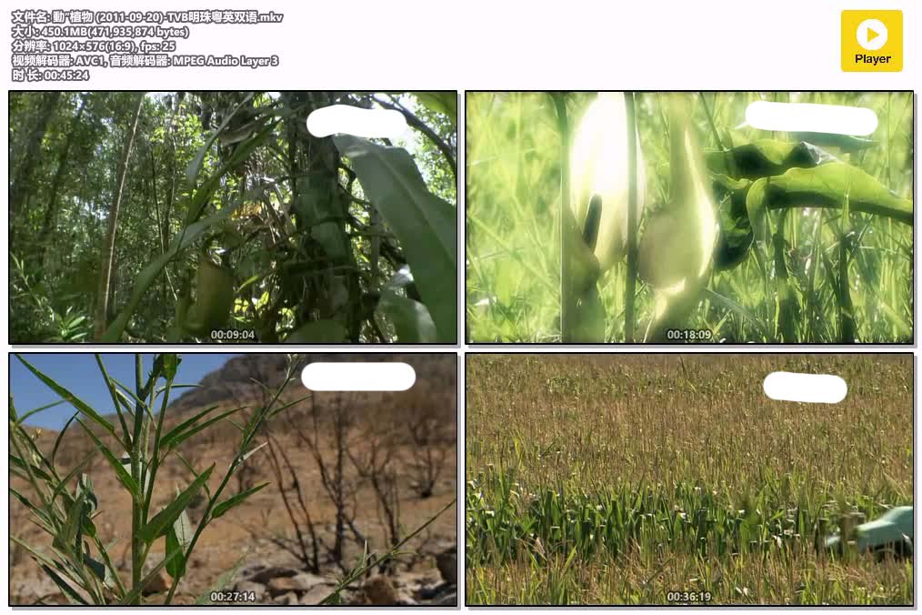 插图:《動”植物》粤配纪录片全1集 | 全球文明探秘 | 百度网盘/夸克网盘，编号:507