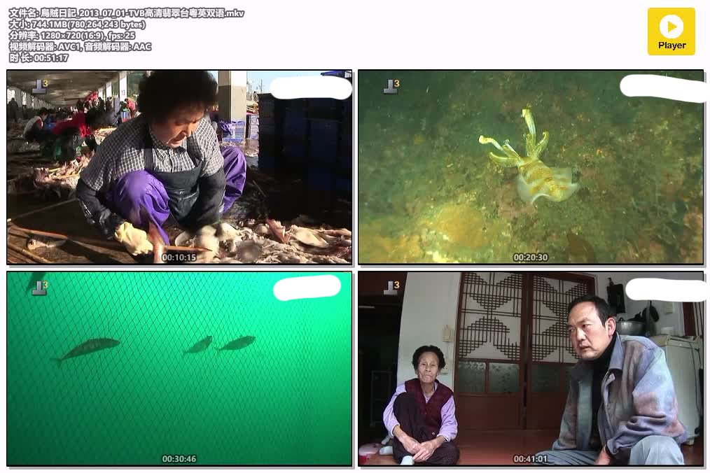插图:《烏賊日記》粤配纪录片全1集 | 全球文明探秘 | 百度网盘/夸克网盘，编号:992
