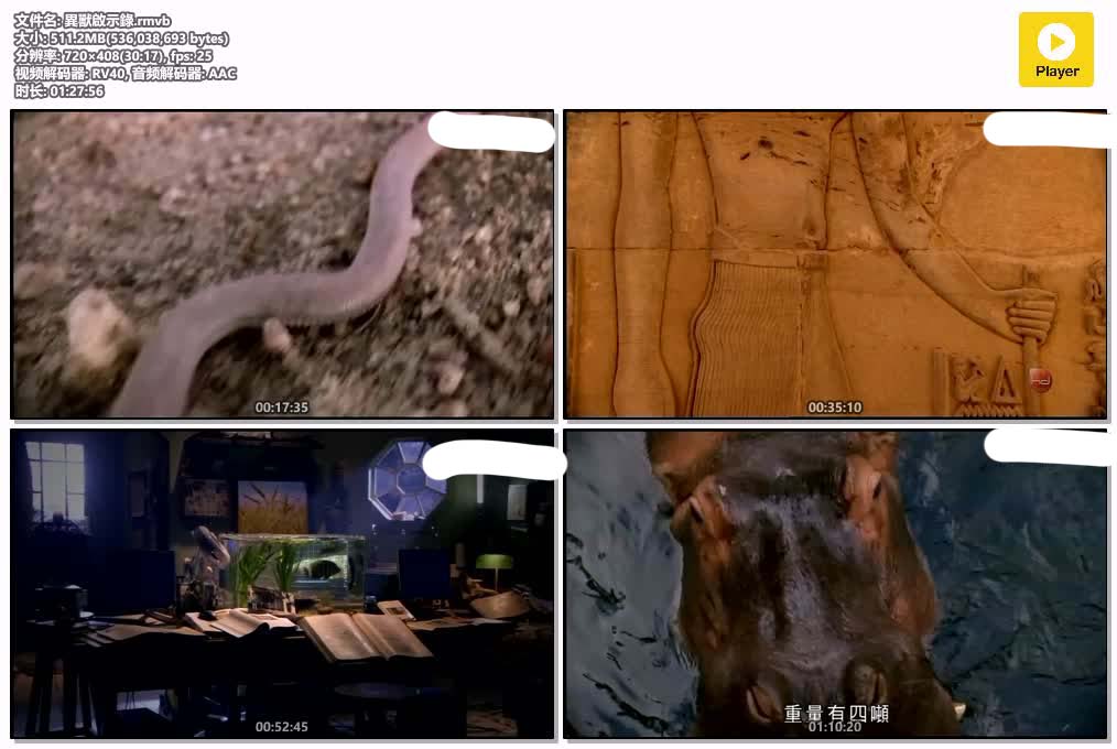 插图:《異獸啟示錄》粤配纪录片全1集 | 全球文明探秘 | 百度网盘/夸克网盘，编号:543